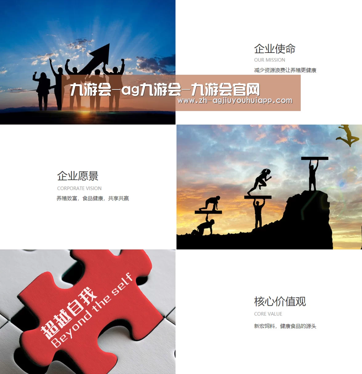 企业文化(图1)