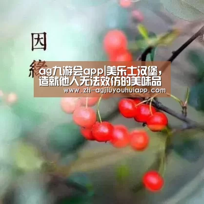 ag九游会app|美乐士汉堡,造就他人无法效仿的美味品质(图2) ag九游会app