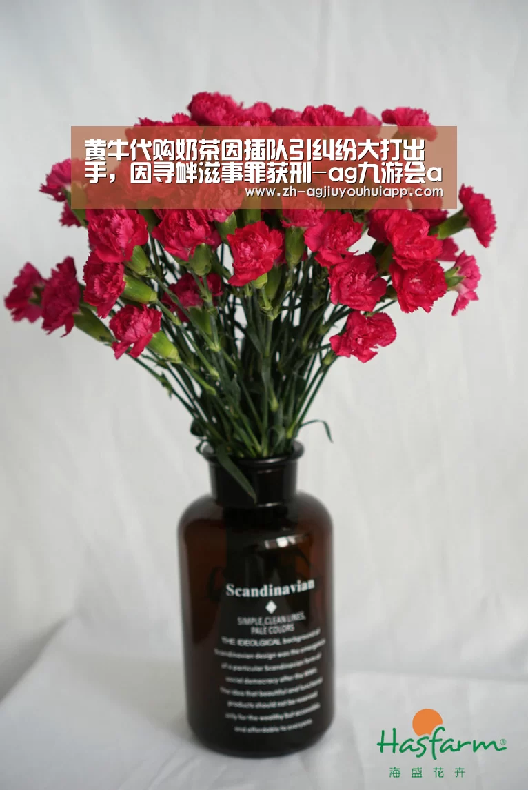 黄牛代购奶茶因插队引纠纷大打出手,因寻衅滋事罪获刑-ag九游会app(图3) ag九游会app