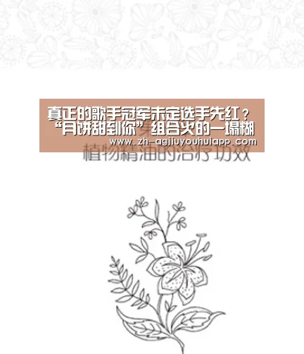 真正的歌手冠军未定选手先红？“月饼甜到你”组合火的一塌糊涂！“ag九游会app”