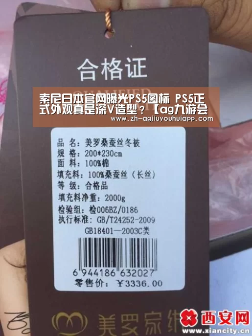 索尼日本官网曝光PS5图标 PS5正式外观真是深V造型?【ag九游会app】(图2) ag九游会app